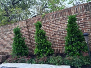 Кирпичный забор сплошной 12 метров фото в Новороссийске